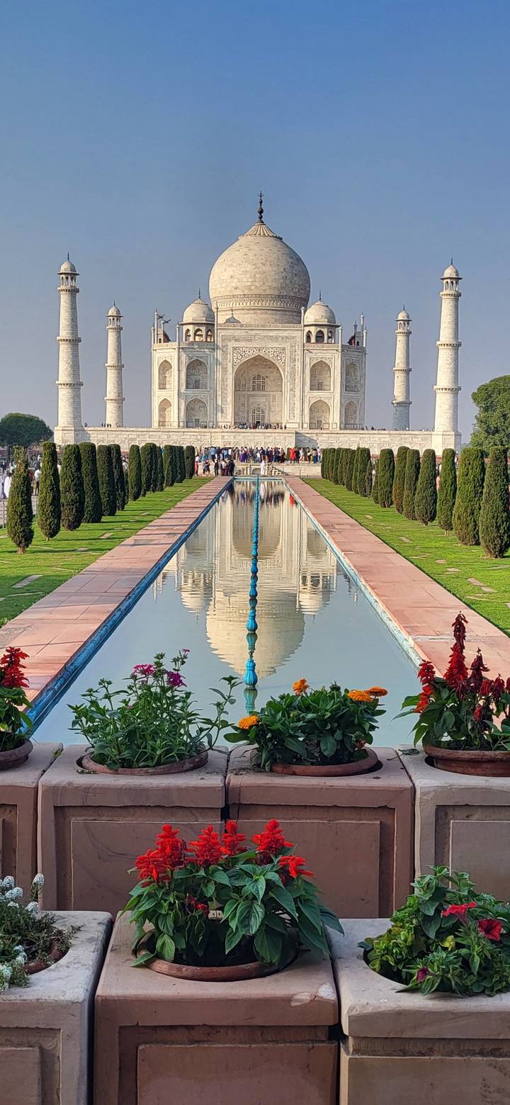 Perfect reflection of the Taj Mahal in the long central pool framed by manicured cypress trees