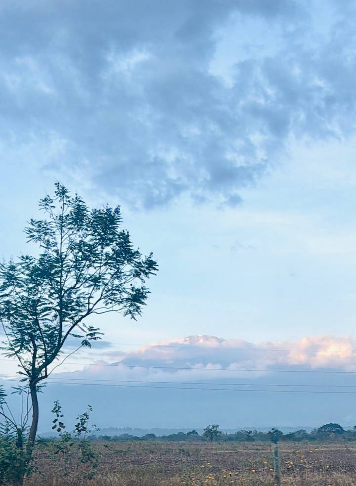 Minimalist sky scene with a lone tree and distant mountain peak.
