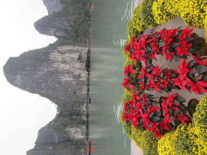 Dramatic limestone karst rises from emerald waters in Ha Long Bay with bright red flowers in the foreground