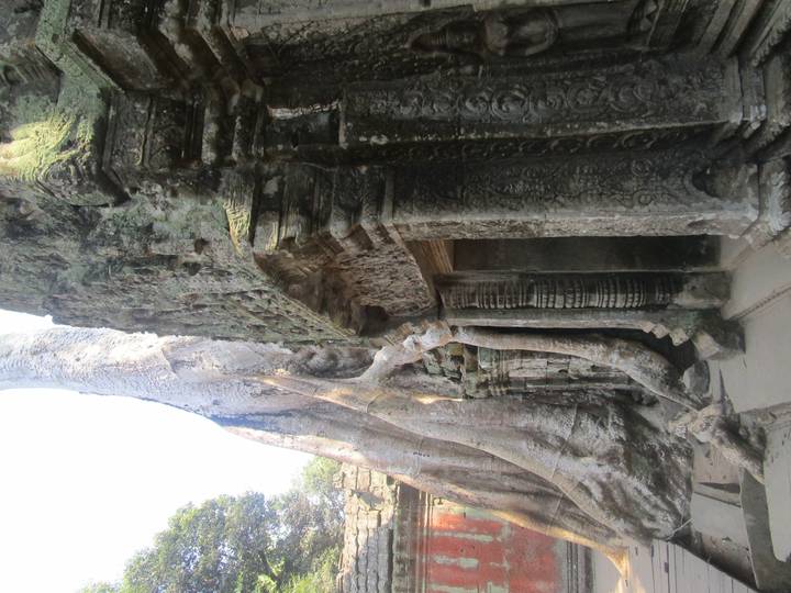 Massive tree roots snake over intricately carved stone doorways of Ta Prohm temple