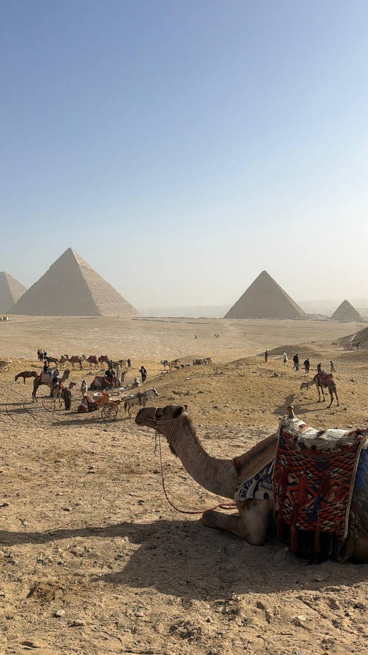 Wide desert scene with several pyramids and tourists on camels in the foreground.