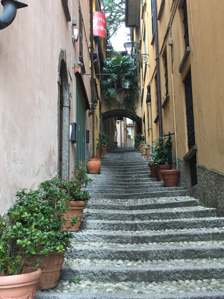 Escalier en pierre bordé de plantes en pot dans une ruelle étroite.