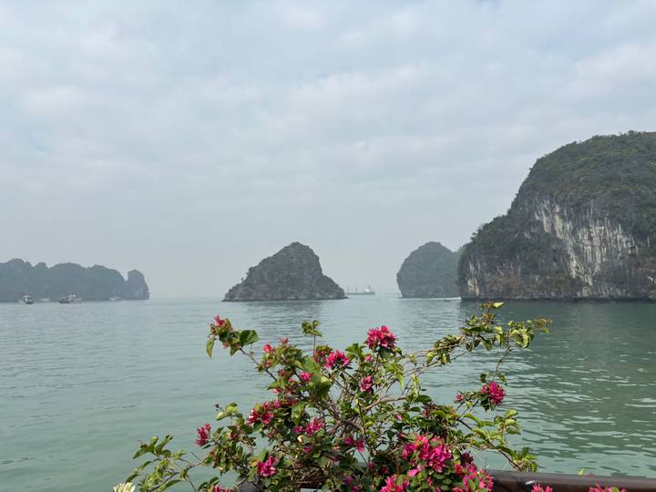 Pink flowers in the foreground frame misty limestone islands rising from calm green water.