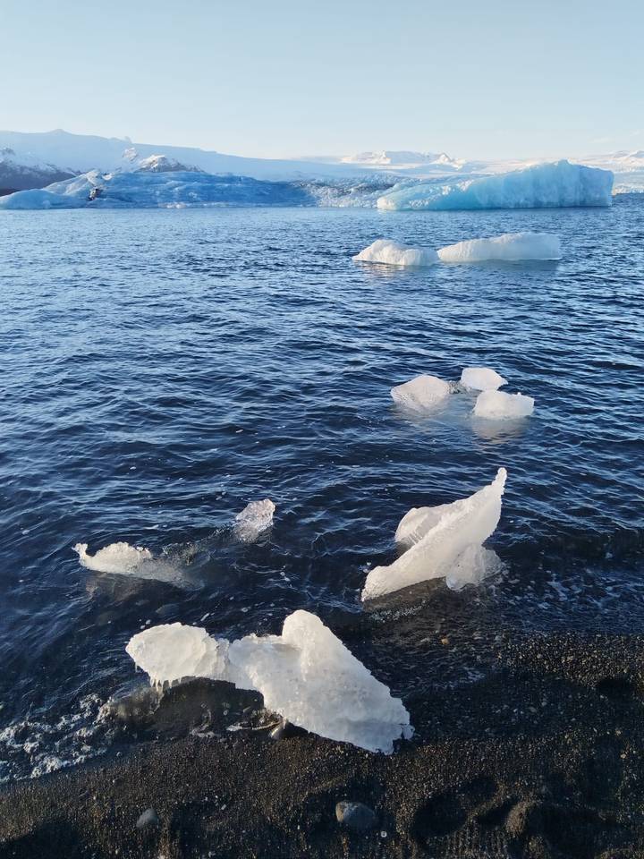 Clear pieces of glacial ice scattered in dark blue surf near shore