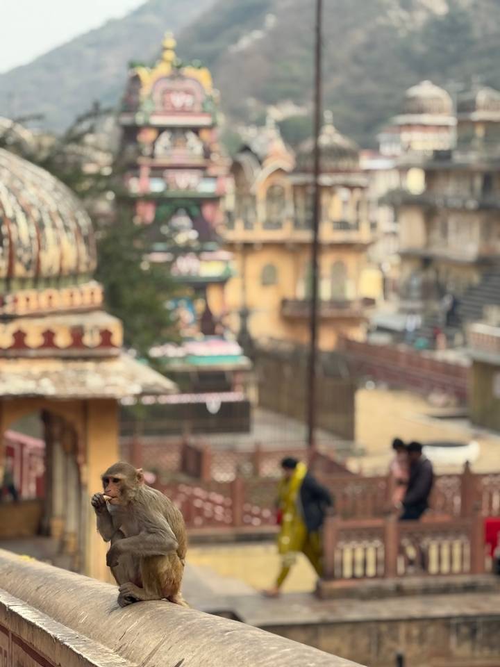 Out-of-focus street scene with pastel temples and soft background bokeh.