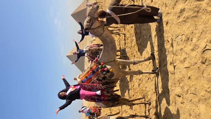 Travellers cheer while riding camels in the sandy desert with the pyramids in the background.