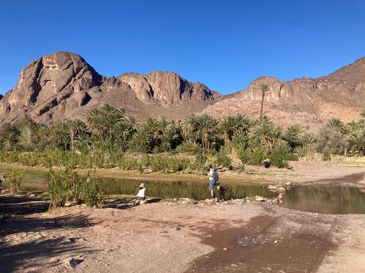 Two visitors take in a palm-lined oasis beneath rugged brown mountains and clear sky.