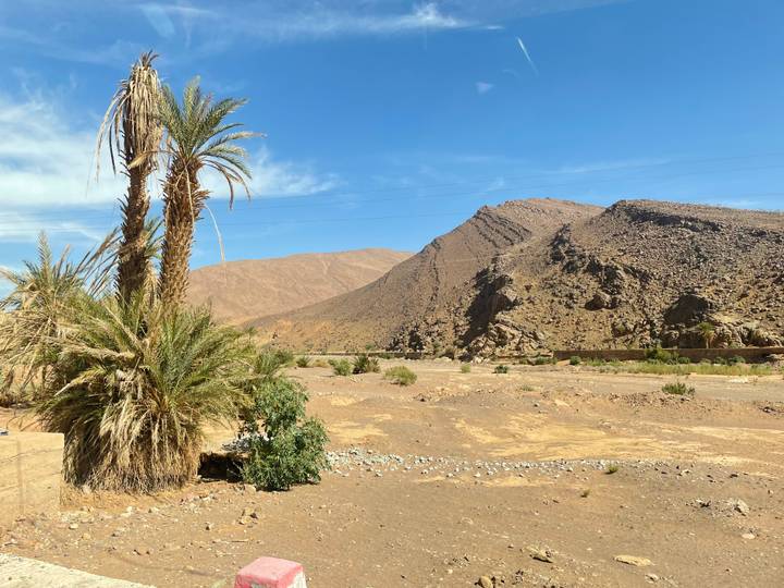 Barren desert landscape with a few palms and a rocky ridge under bright daylight.