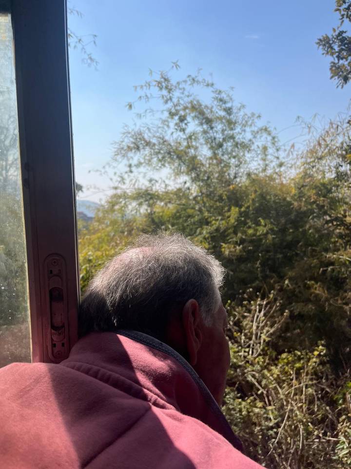 View over a passenger’s head leaning out of a train window with foliage rushing past outside.