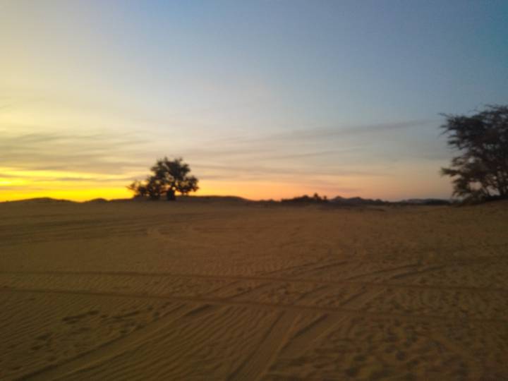 Blurry desert landscape at sunset with silhouette of distant tree and pastel sky.