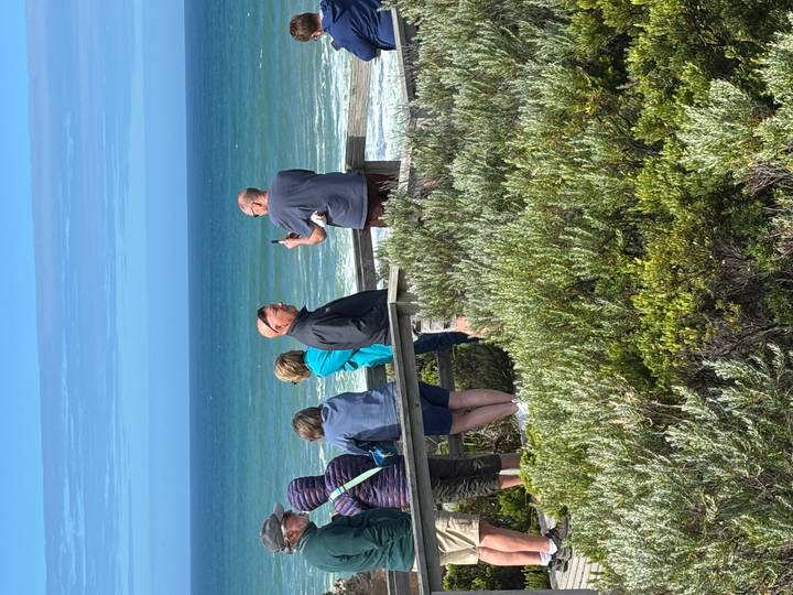 Tourists stand on a wooden lookout deck admiring the turquoise ocean and rugged coastline of Australia’s Great Ocean Road.