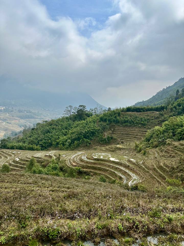 Overcast view of stepped rice terraces and forested slopes in a misty valley.