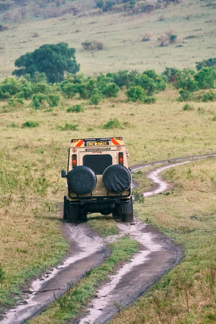 Rear view of safari vehicle driving along a muddy track in open grassland.