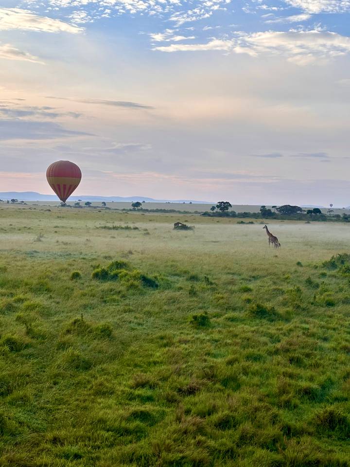 A hot-air balloon drifts above misty grasslands where a giraffe grazes at dawn.
