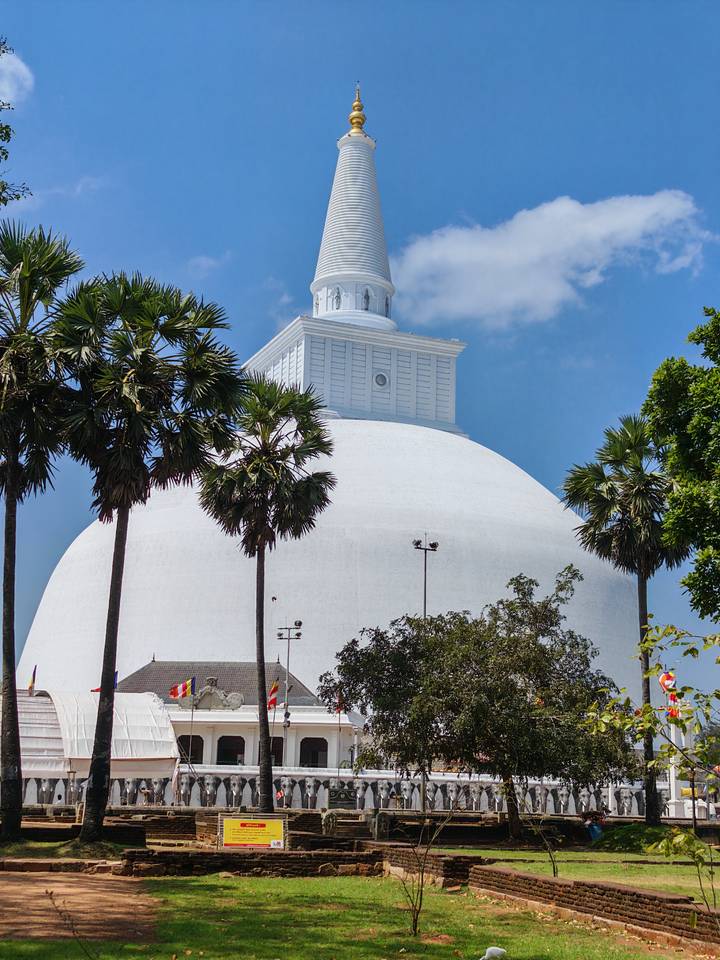 Brilliant white stupa dome framed by tall palm trees against a bright blue sky.