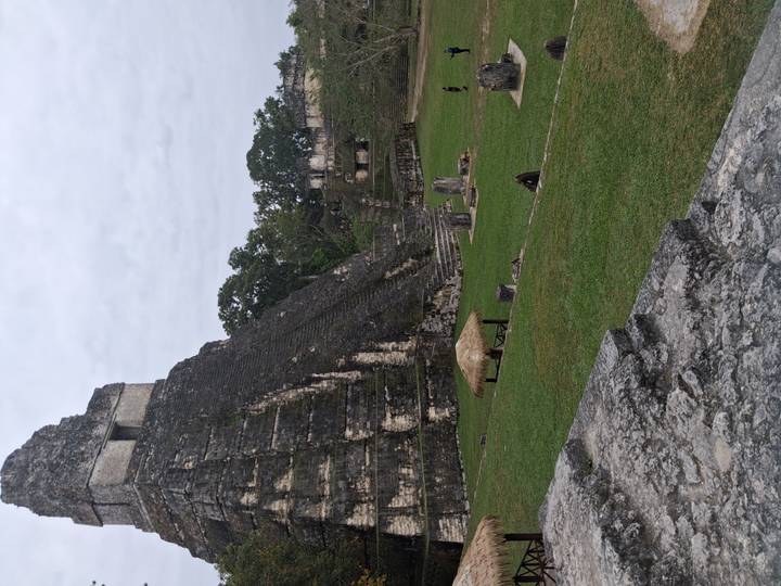 Stone stepped Mayan pyramid rising above grassy plazas at Tikal.