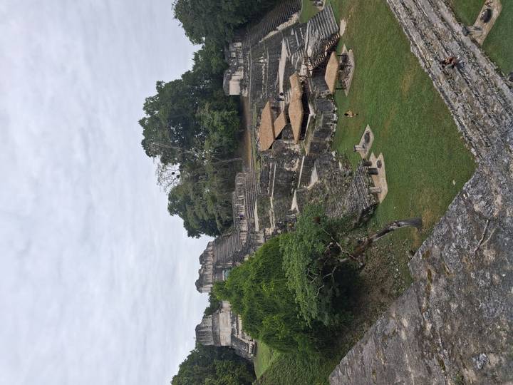 Terraced ruins and jungle canopy seen from a higher viewpoint at Tikal.