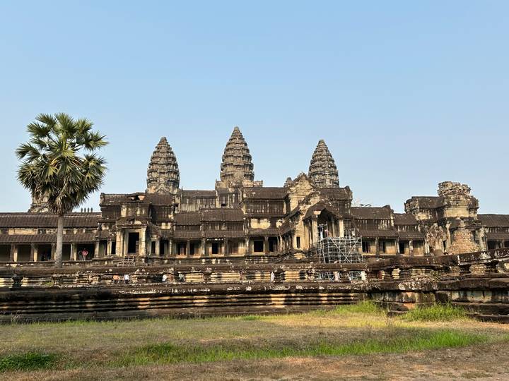 Angkor Wat’s central sanctuary and galleries framed by a lone palm under clear skies.