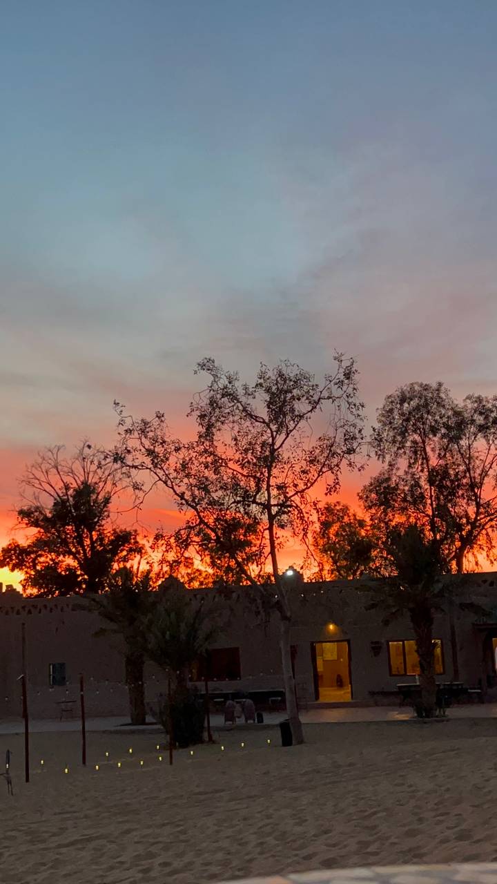 Silhouetted trees frame a fiery orange and pink sunset sky