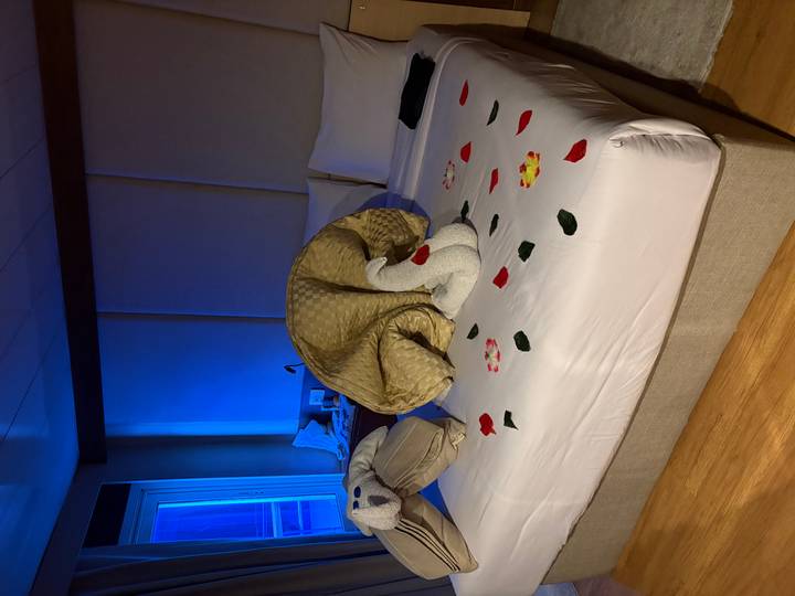 Hotel stateroom bed decorated with towel animals and scattered rose petals creating a romantic welcome.