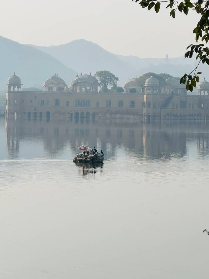 Misty morning view of Jal Mahal floating palace reflected on a calm lake.