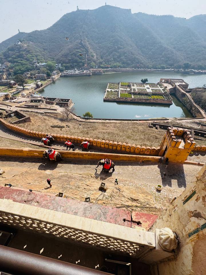 Elephants carrying tourists up the ramparts of Amber Fort overlooking geometric gardens.