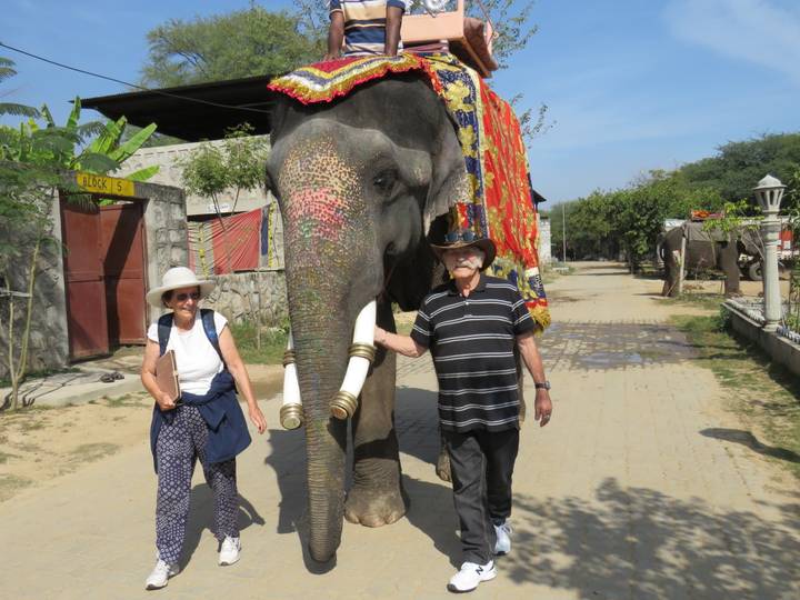 Decorated elephant walks beside two smiling travellers along a rural path.