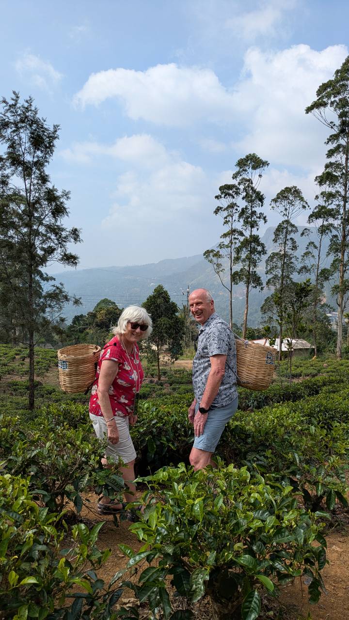 Couple smiling among rows of tea bushes with mountain backdrop, baskets on shoulders.