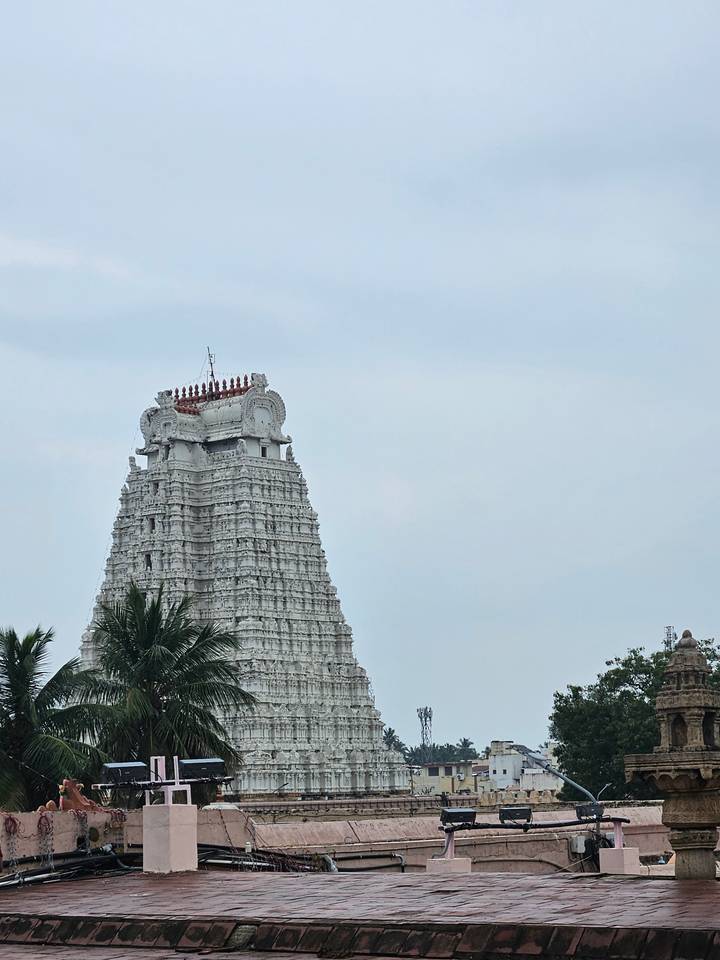 White stone temple tower with sculpted deities rising above palm trees against a pale sky.