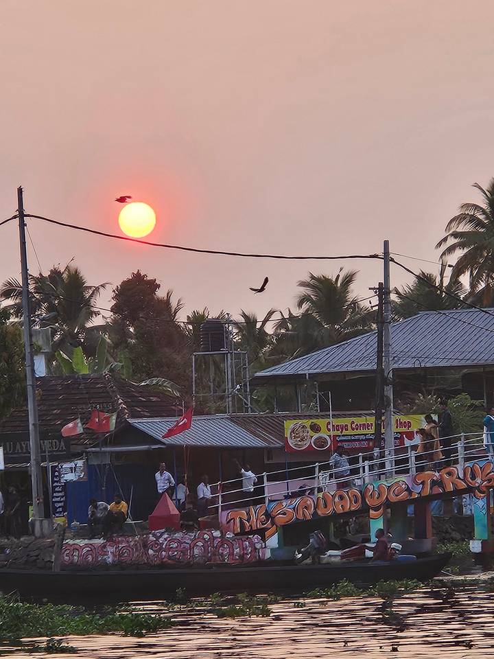 Orange sun setting above palm-lined rooftops and power lines, with birds silhouetted against a hazy sky in a tropical town.