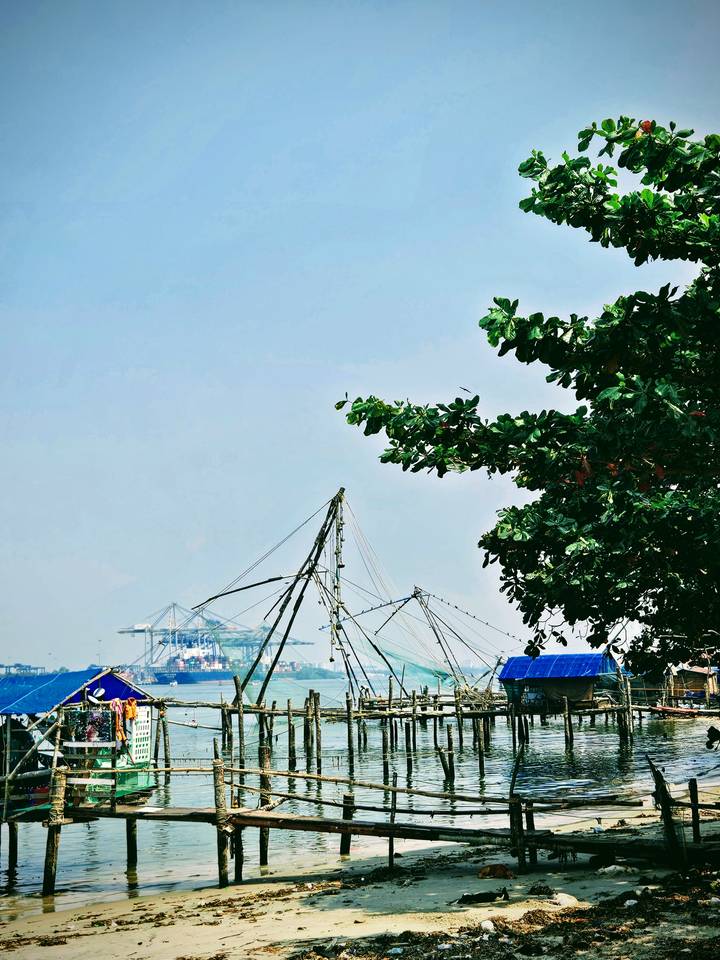 Chinese fishing nets and harbour cranes framed by leafy branches under a bright blue Kerala sky.