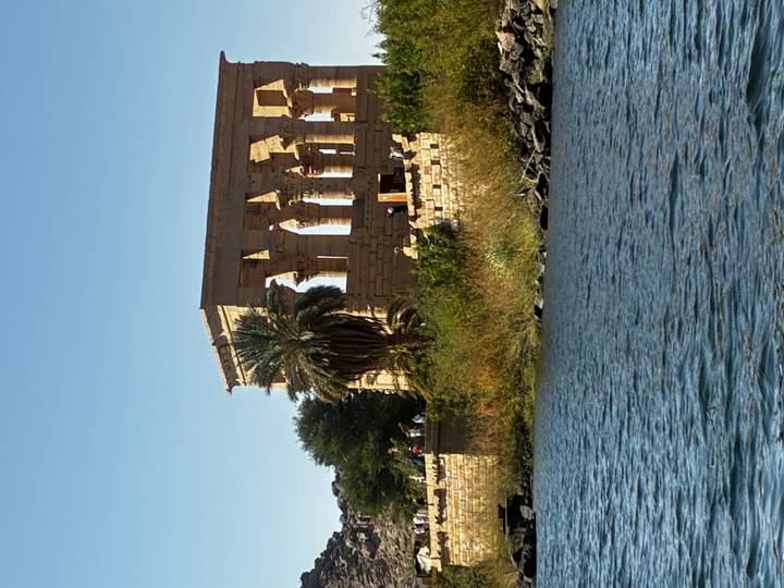 Ancient stone columns of Philae Temple rising above the Nile with palm tree nearby.