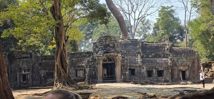 Ancient stone temple ruins sit beneath towering jungle trees and dappled sunlight.