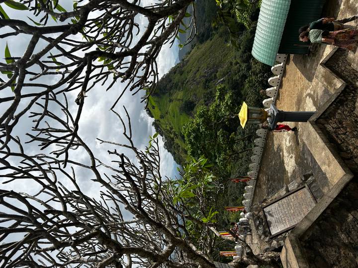 A lone visitor stands on a temple terrace framed by leafless branches with a green hill beyond.