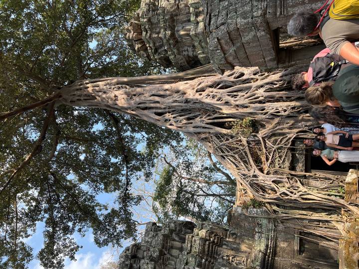 Massive tree roots engulf ancient stone temple doorway at Ta Prohm with travellers below.