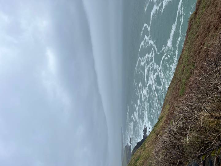 Moody overcast coastal cliff view with white-capped waves rolling toward shore under grey skies.