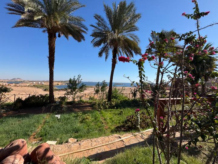 Palm trees and flowering shrubs overlook the Nile river and desert hills under clear blue sky.