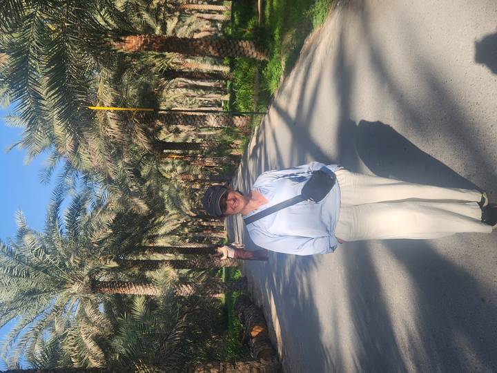 Visitor poses on palm-shaded road lined with date trees casting long shadows.