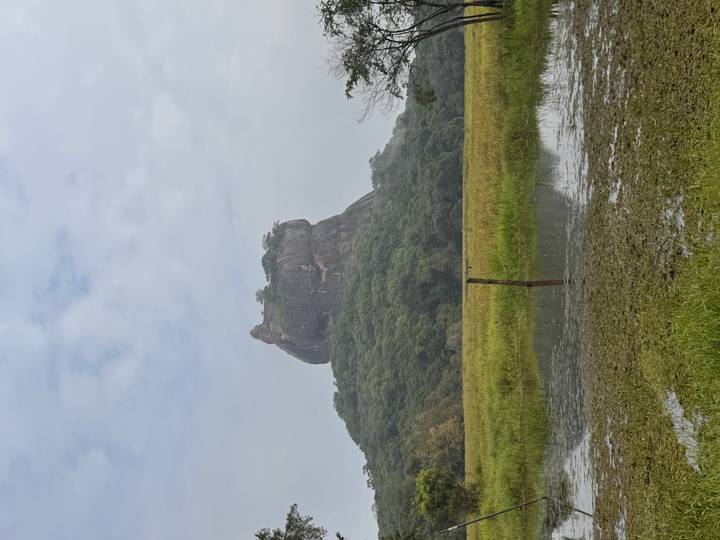Distinctive Sigiriya rock monolith rising above lush forest and watery fields under a cloudy sky.