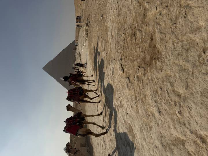 Camel caravan passes in front of the towering Pyramid of Khafre under a hazy sky.