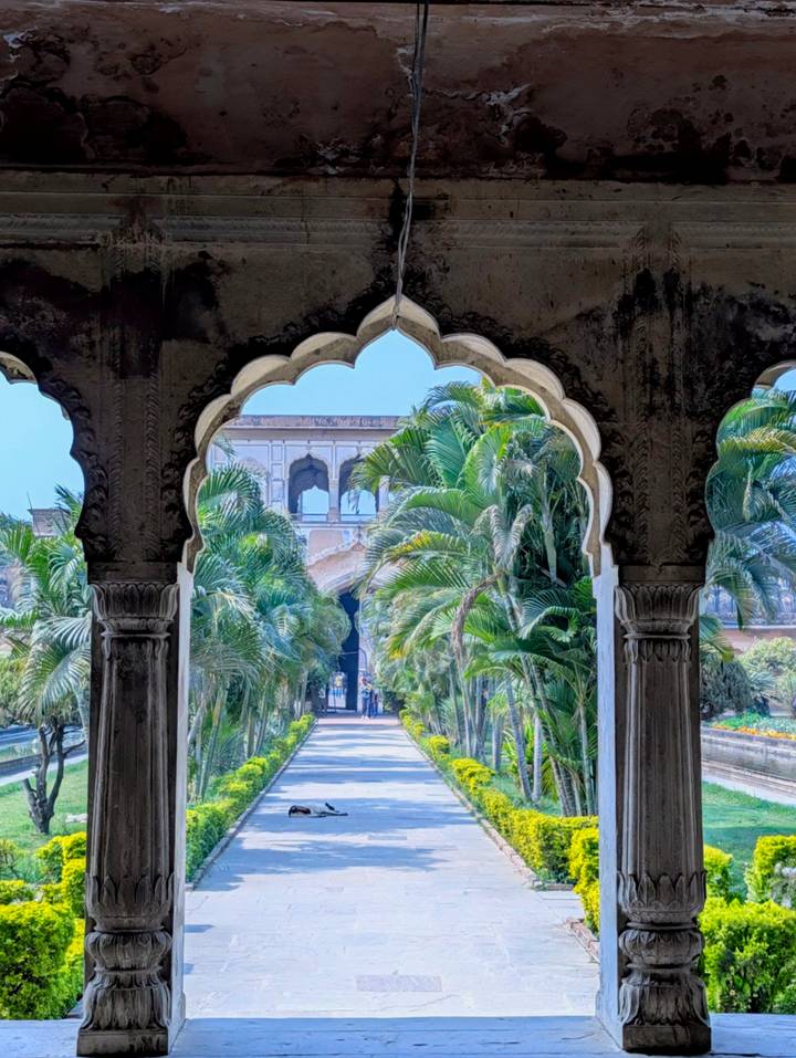 Lush palm-lined pathway framed by an ornate Mughal archway of a historic palace complex.