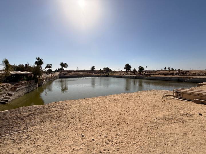 Rectangular sacred lake surrounded by sand and palm trees under bright morning sun.