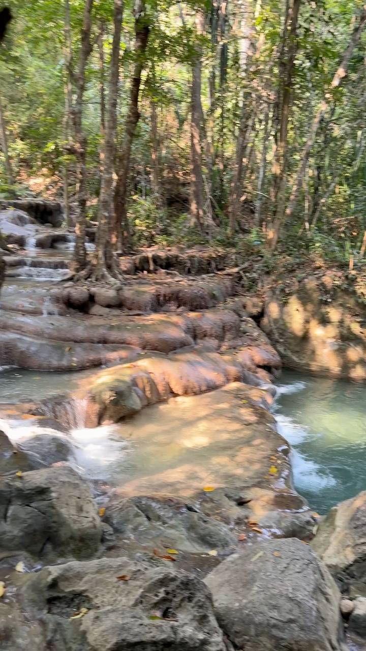 Tiered limestone waterfall flowing gently through a shaded forest area.