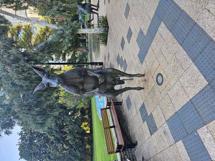 Bronze statue of a kangaroo stands in a city park plaza with trees and benches.