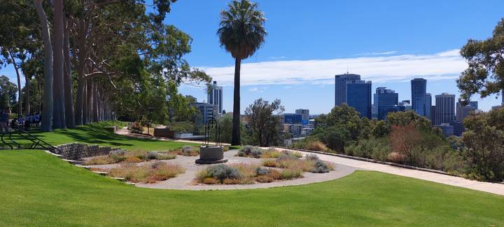 Kings Park lawn and landscaped beds overlook Perth’s skyline on a bright day.