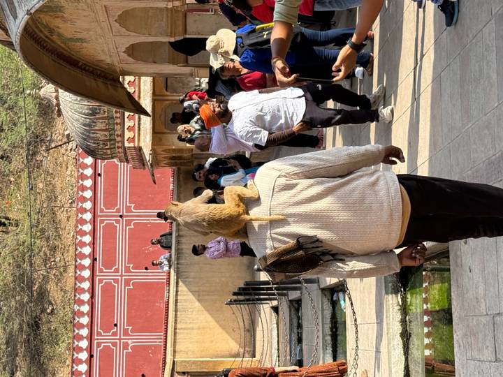 Man carries a monkey on his shoulders while wandering through a bustling temple courtyard.