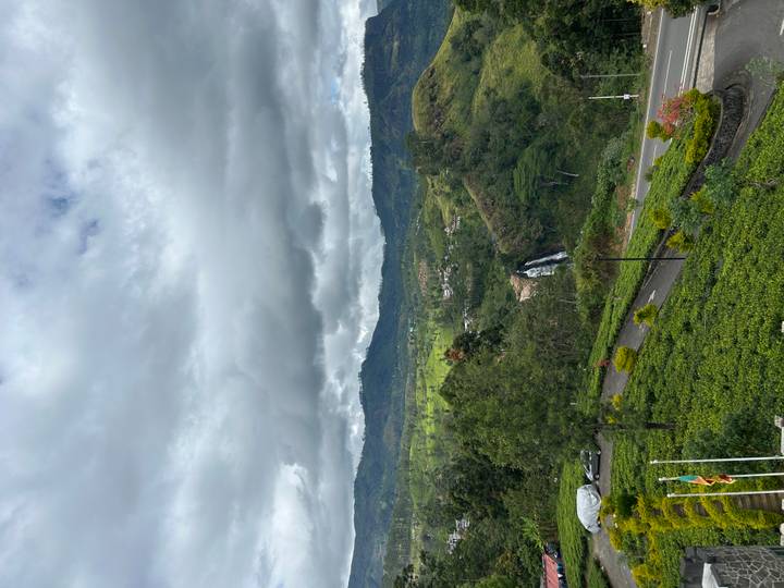 Verdant tea plantations with a small waterfall cascading in the distance under cloudy skies