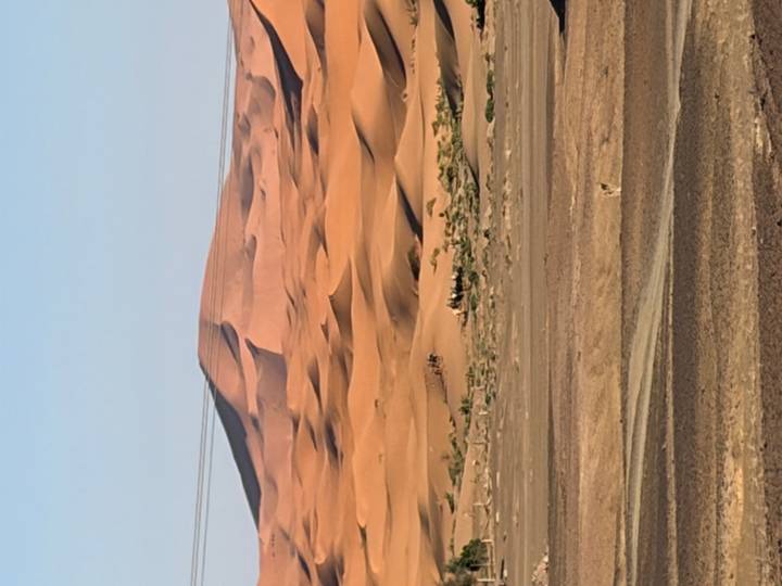 Towering orange sand dune with a camel caravan crossing the lower slope.