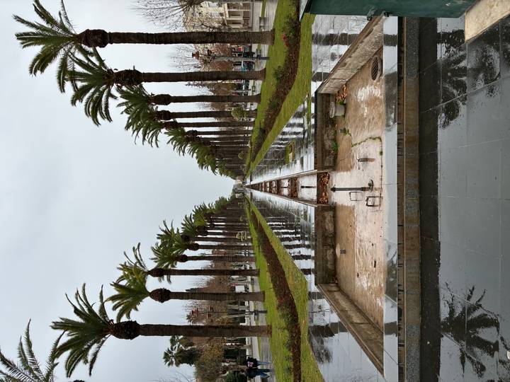 Rain-soaked palm-lined boulevard with a long dry fountain channel stretching into the distance on an overcast day