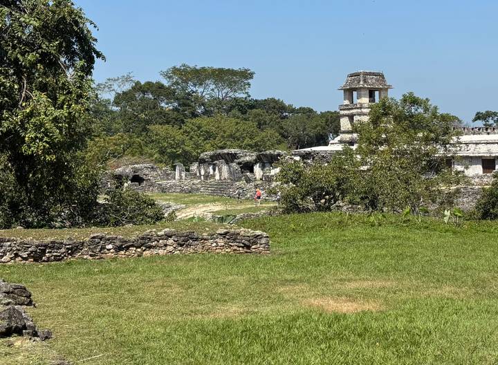 Lush jungle surrounds ancient limestone structures at the archaeological site of Palenque.